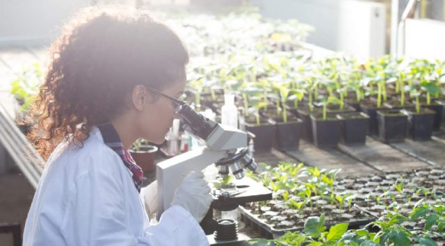 Ricerca Ricerca
