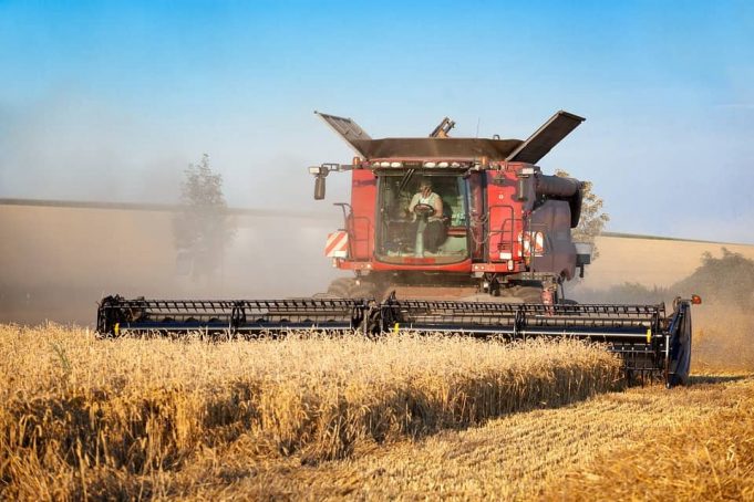 La guerra colpisce anche il grano, boom delle quotazioni: +50% per pane e pasta Mietutura del grano
