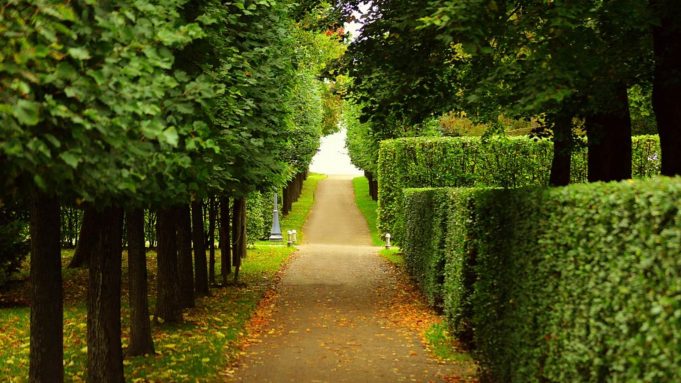 Pnrr: in scadenza il bando per il restauro e la valorizzazione di parchi e giardini storici Pnrr. Giardini e parchi storici