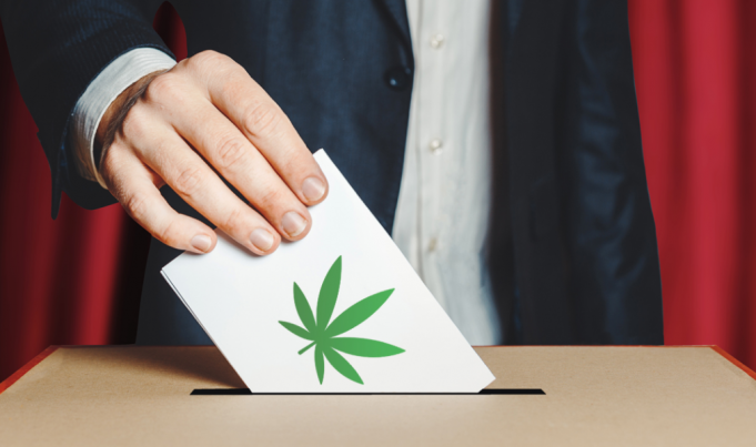 Referendum cannabis “inammissibile”: le ragioni di Corte e promotori referendum cannabis