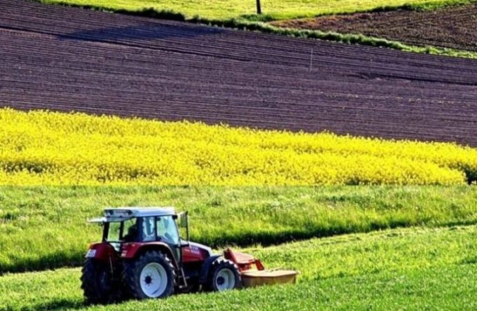 Programma sviluppo rurale, pubblicati i bandi: stanziati oltre 8 mln di euro Sviluppo rurale agricoltura