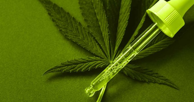 Canapa industriale: l’oro verde ‘bruciato’ da pregiudizi e proibizionismo Canapa industriale