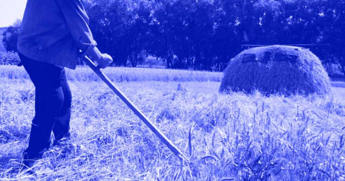 Grano fermo nei porti ucraini: il rischio è una crisi alimentare globale Grano fermo nei porti, lo scenario di una crisi alimentare