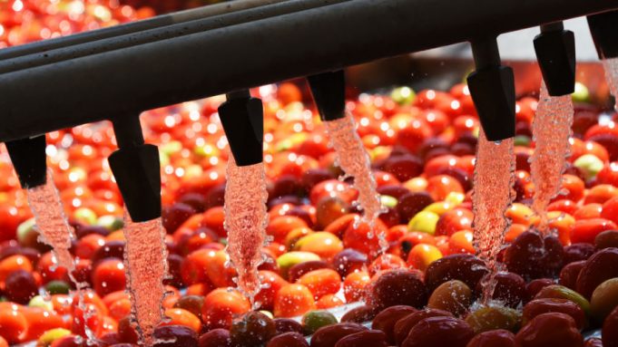 Mise, investimenti nella filiera agroalimentare in Campania: 66 mln per 2 progetti Filiera Agroalimentare in Campania