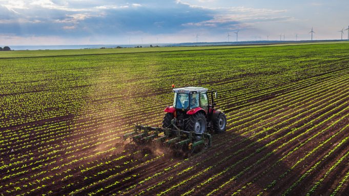 Accordo Intesa-Coldiretti, 3 miliardi del Pnrr per agricoltura alle Pmi Imprese agricole - agricoltura