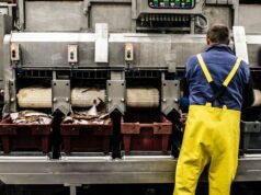 Prezzi alla produzione: industria stabile, rallenta la crescita annua Prezzi produzione industriale - i dati dell'Istat pil