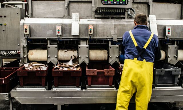 Prezzi produzione - i dati dell'Istat Prezzi produzione industriale - i dati dell'Istat pil