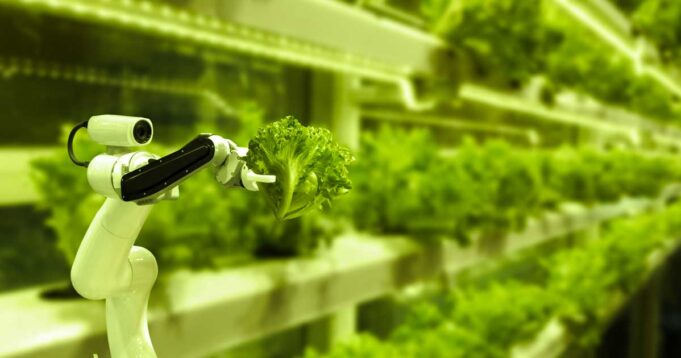 Italia e Israele si incontrano a Napoli per tracciare la rotta dell’agricoltura del futuro A Napoli il meeting tra Israele e Italia