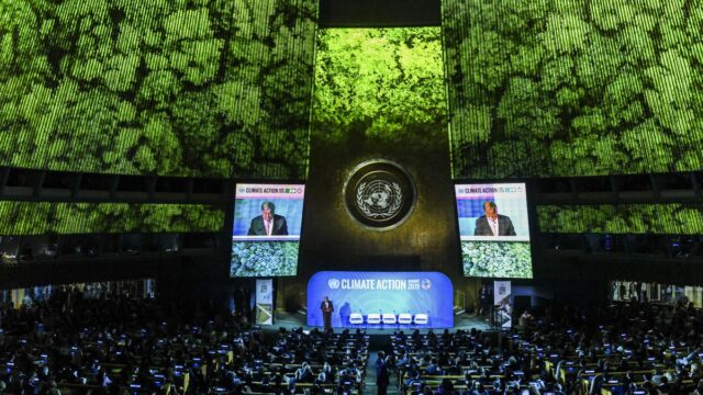 Cop27 Cop27