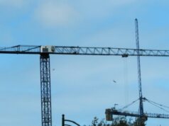Appalti pubblici, la Consulta boccia la norma toscana sul salario minimo nei bandi: “Viola la competenza statale sulla concorrenza” CANTIERE codice degli appalti