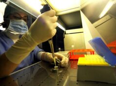 Campania, dalla Giunta 40 milioni per la ricerca in oncologia e biotecnologie: via al piano Fesr post-Pnrr ricerca embrioni umani cellule staminali
