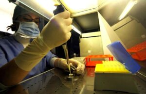 Campania, dalla Giunta 40 milioni per la ricerca in oncologia e biotecnologie: via al piano Fesr post-Pnrr ricerca embrioni umani cellule staminali