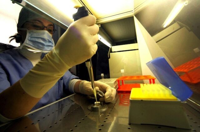 ricerca embrioni umani cellule staminali