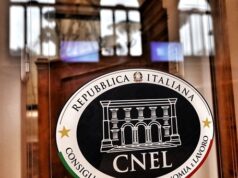 Robotica e umanoidi nelle PMI, Confapi al CNEL: “Opportunità di crescita senza tagli all’occupazione” Cnel - salario minimo