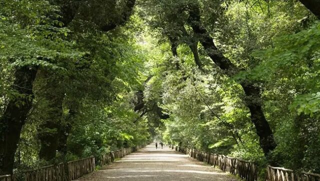 Verde pubblico Napoli