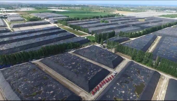 Terra dei Fuochi, Cipess stanzia 278 milioni per la rimozione delle ecoballe Ecoballe Campania rifiuti