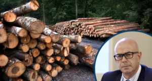 La disinformazione non aiuta la crescita economica dell’Italia: il ruolo strategico del settore forestale Disinformazione forestale Opinione Francesco Napoli
