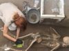 Pompei, scoperta eccezionale: ritrovate vittime dell’eruzione con un tesoro di monete e monili Ritrovamento Pompei