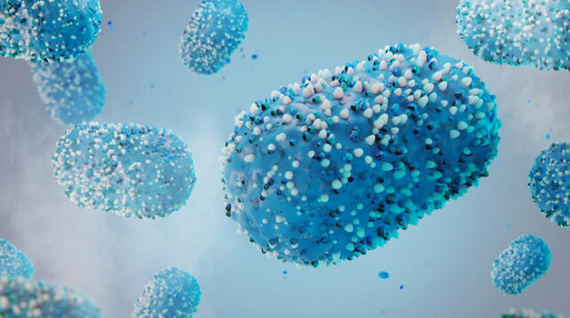 Vaiolo delle scimmie