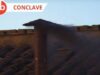 Conclave. Fumata nera al primo scrutinio: nessun Papa eletto Fumata Nera conclave