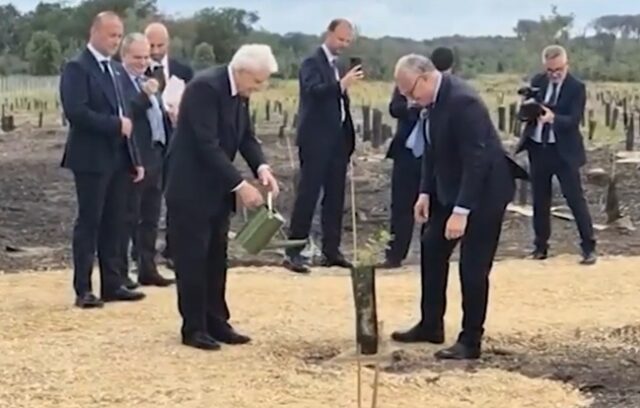 Mattarella alberi Castelporziano