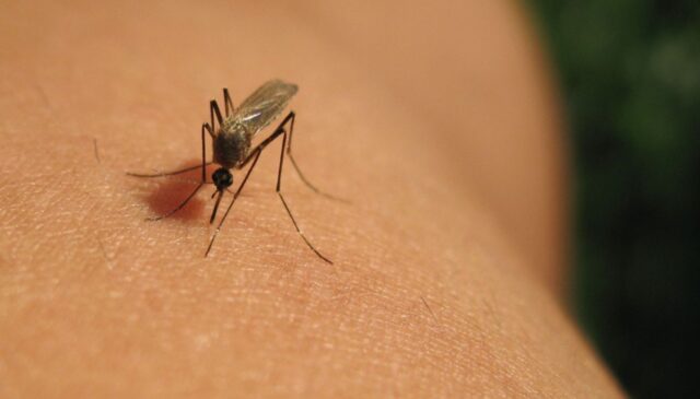 West Nile