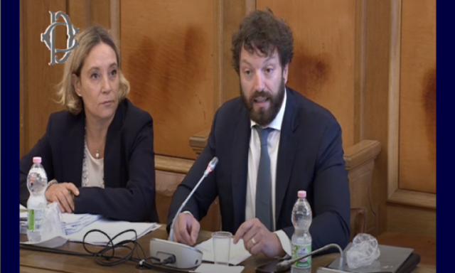 Audizione confapi Audizione confapi