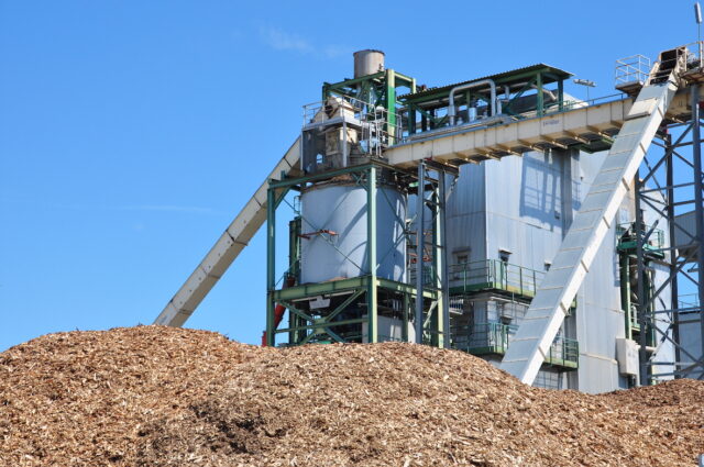 Biomasse solide energia green