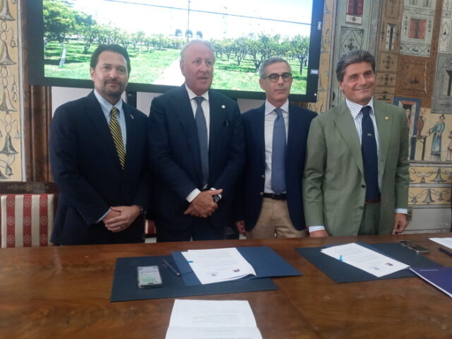 accordo federico ii USA