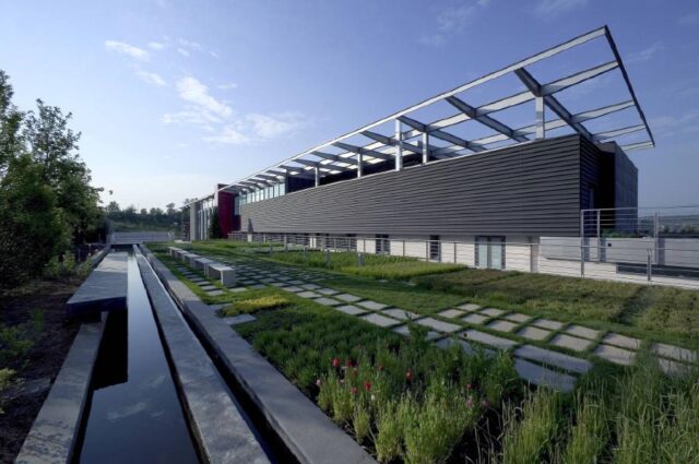 Cdp, Feudi San Gregorio vino