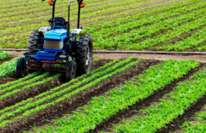 Trattori agricoli, prorogato al 15 dicembre il bando per la sicurezza e l’ammodernamento Agricoltura trattore