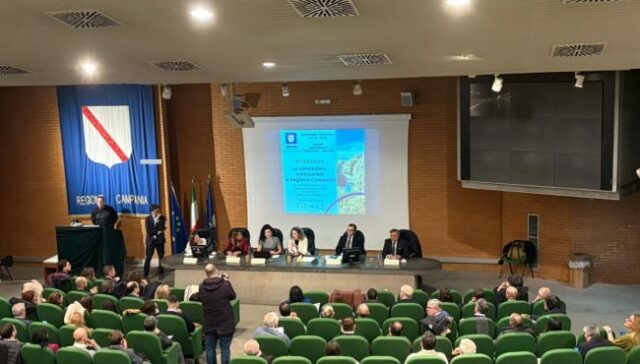 Ordine degli ingegneri Napoli