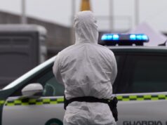 Hantavirus, quarantena obbligatoria per il 24enne di Torre del Greco. Crescono i controlli internazionali Hantavirus