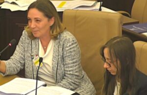 Confapi al Senato: “Industrial Accelerator Act decisivo, ma servono correttivi per tutelare le PMI” Stefania Multari Confapi audizione commissione