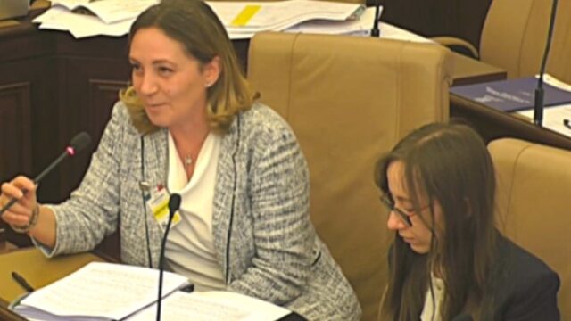 Stefania Multari Confapi audizione commissione