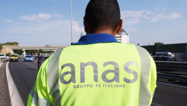 Anas