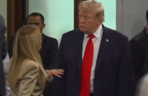 Chiarimento tra Meloni e Trump: “Importante l’unità dell’Occidente” Meloni Trump