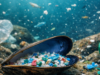 Microplastiche, cosa sono e perché preoccupano: presenza ovunque e rischi ancora poco conosciuti Microplastiche