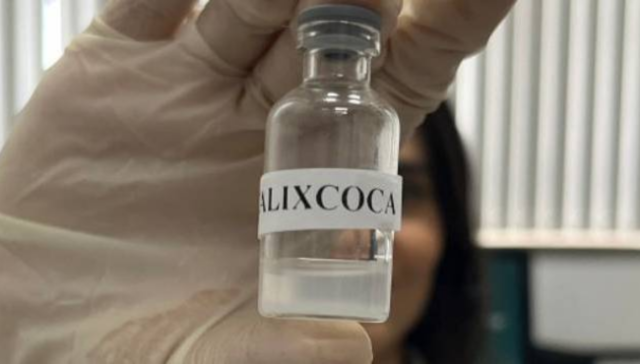 calixcoca calixcoca