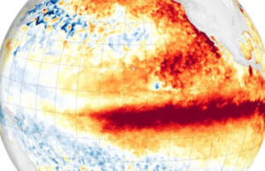 El Niño, il motore del caos climatico globale: perché il fenomeno è così potente e perché il 2027 rischia di diventare l’anno più caldo di sempre
